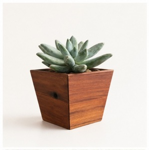 Modern Square Wooden Succulent <b>Planter</b> <b>Box</b> Natural Wood Flower Pot for Desktop Home Office Decor Indoor Cactus Garden Ornament - Product Image 1