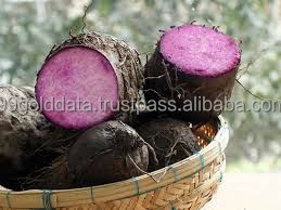 Améliorez vos recettes avec l'igname violette congelée IQF à partir de données 99 Gold - Product Image 6