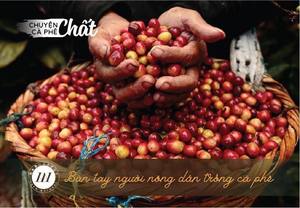 Café Adelgazante HANCOFFEE - Café Frío 100% Arábica de Vietnam Para un Estilo de Vida Saludable - Soporte de Marca Privada - Muestra Gratis - Product Image 3
