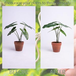 Kit de piquets de soutien pour plantes, treillis de croissance verticale - Product Image 2