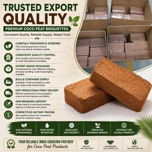 Briquettes de tourbe de coco lavée à faible teneur en EC de 650g, briques de coco compressées organiques pour l'hydroponie et les pépinières de détail - Product Image 5