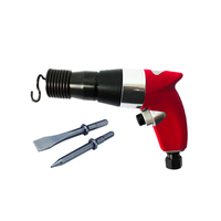 Martillo Neumático Profesional Palm Air, Herramienta Neumática de 4500 BPM, Trabajo Ligero, 0.3HP, Diseño Compacto de Aluminio con Cinceles HY-820