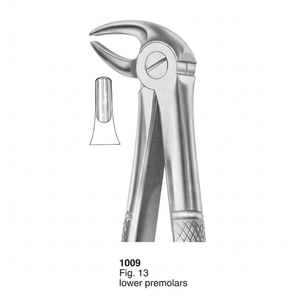 คีมถอนฟัน รุ่น Fig. ฟันกรามล่าง 13 ซี่ (แบบอังกฤษ) |   สแตนเลสเกรดพรีเมียม - Product Image 2