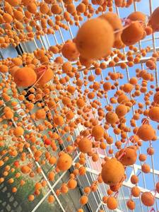 ลูกพลับอบแห้งแบบนุ่ม, ลูกพลับอบแห้งแบบไม่ใส่น้ำตาลขนมลูกพลับอบแห้งทั้งลูกพลับ - Product Image 6