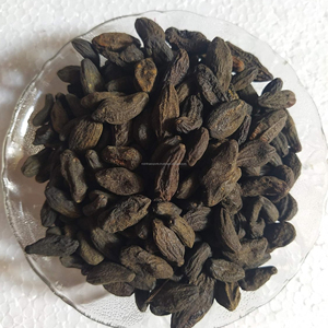 Choti Harad (Kali Harad) Polvo Negro de Himej |   Materia Prima de Terminalia Chebulal |   Secado al Sol Natural |   Hierba Ayurvédica |   CareQue - Product Image 5