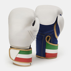 Gants de boxe en cuir de vachette avec logo personnalisé 10/12/14/16 oz, créez vos propres gants de boxe - Product Image 1