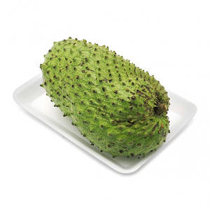IQF FROZEN SOURSOP FRUIT FOR BEVERAGE DAIRY AND DESSERT INDUSTRY - Product Image 5