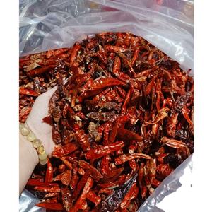 Piment rouge LONG séché de haute qualité provenant de soviétique au VIETNAM - Product Image 1