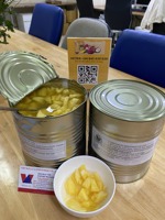 Natuurlijke geconserveerde ananasstukjes Vietnam leverancier voor dranktopping en voedselverwerking - Mevr. Tarina
