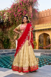 Lehenga Choli Heavy Quality Embroidery Floor-Length Traditional Design for Women for Wedding - Product Image 1