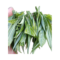 Shan Snow Tea 100% Origine Naturelle Goût Pur Haute Montagne Sans OGM Haute Qualité (Whatsapp 84-975 499 129)