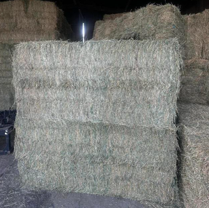 Heno de alfalfa rico en nutrientes disponible a granel, heno de alfalfa fresco para alimentar a caballos, vacas y animales pequeños de granja de forma segura. - Product Image 1