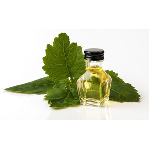 Huile Essentielle d'Extrait de Patchouli 100% Pure et Naturelle en Gros à Prix Avantageux - Product Image 3