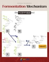 Hongnoksam Booster d'Immunité Ginseng Coréen Miel Jujube Antioxydant Anti-Fatigue Mémoire Sommeil Supplément de Ginseng Rouge Fermenté