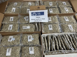 Anchoas Secas de Primera Calidad de Vietnam al Mejor Precio para Mercados Mayoristas y de Exportación - Product Image 5