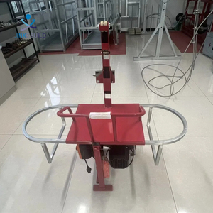 Plataforma Suspendida Eléctrica Industrial Moderna China Zlp250, Capacidad de Carga de 250 kg, Canasta Colgante de Acero, Uso en Apartamentos, Ajustable - Product Image 3
