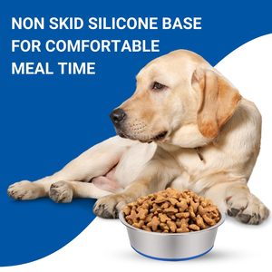 Tazón Premium de Acero Inoxidable para Cachorros, Base de Goma Antideslizante e Impermeable, Personalizado, 200 ml, Portátil, Ecológico, Antideslizante, para Alimentar Mascotas - Product Image 4