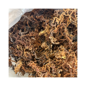 Algues Marines Séchées de Haute Qualité Eucheuma Cottonii, Algues Marines Rouges Naturelles pour la Fabrication d'Ingrédients Alimentaires - Product Image 6