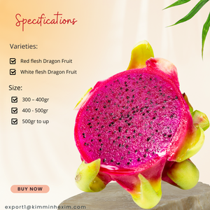 Fruits du dragon frais de qualité supérieure _ Approvisionnement en gros pour les importateurs mondiaux - Product Image 3