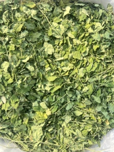 Poudre de feuilles de Moringa 100% approuvée GMP et testée en laboratoire, qualité d'exportation PKM1 - Product Image 3