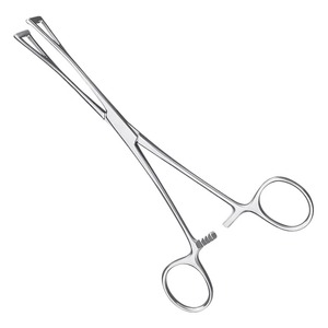 Pinces à tissus Babcock en acier inoxydable allemand 16cm/18cm/20cm – Qualité supérieure pour instruments chirurgicaux - Product Image 1