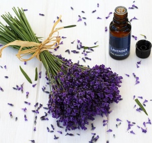 Aceite Esencial de Lavanda 100% Puro y Natural para Aromaterapia, Cuidado de la Piel y Cabello, Grado Terapéutico, Proveedor Mayorista OEM ODM - Product Image 4