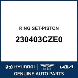 Nouveaux pistons et segments K9 230403CZE0 - Product Image 1