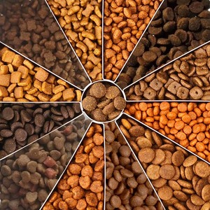 Alimento Seco Vegano Saludable para Perros, Fórmula Orgánica Ayurvédica, Nutrición Vegetal para Mascotas, Alto en Proteínas, Suministro de Marca Privada OEM - Product Image 3