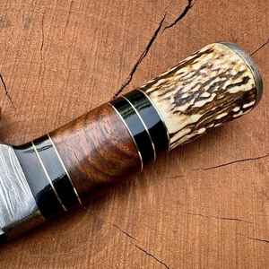 Cuchillo de caza y desollado de acero de Damasco hecho a mano y personalizado, mango de stag, para camping, supervivencia y bushcraft, alta calidad con funda - Product Image 4