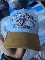 Casquette Snapback Bleue avec Visière Marron, Logo Brodé, Unisexe, Six Panneaux, Réglable, Décontractée