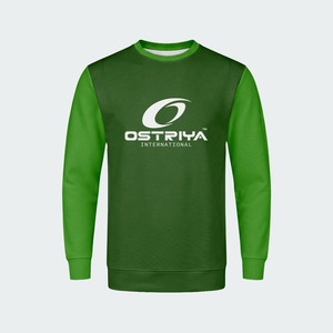เสื้อสเวตเชิ้ตผู้ชาย OEM สีพื้น ไซส์ใหญ่ ทรงปกติ ผ้าฝ้าย 100% เสื้อผ้าสตรีทแวร์ฤดูหนาว แขนยาว คอกลม แห้งเร็ว - Product Image 4