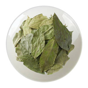 Feuilles de corossol séchées EXPAD 500g - Infusez avec de l'eau chaude pour des bienfaits pour la santé Durée de conservation de 18 mois Fabriqué à Ho Chi Minh City - Product Image 6