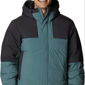 Nova Chegada Casacos de Inverno Stand-Up Collar Cor Sólida Básica Respirável Com Capuz Para Baixo casacos de Algodão Soft Down jaquetas