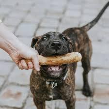 EXPAD Bâton à mâcher en bois écologique pour chien, saveur originale, durable, pour le nettoyage des dents, jouet pour animaux de compagnie d'intérieur/extérieur pour grands chiens, style simple - Product Image 5