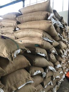 พริกไทยดำเวียดนาม500 550 570gl พริกไทยหนา5มม. พืชเวียดนามอัตราการจากกษัตริย์พริกไทยเครื่องเทศผสม + 84 326055616 MS .camie - Product Image 5