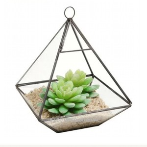 Terrarium élégant en verre et métal, boîte de présentation géométrique, support pour plantes d'intérieur, vases modernes en verre, décoration de table pour la maison - Product Image 1