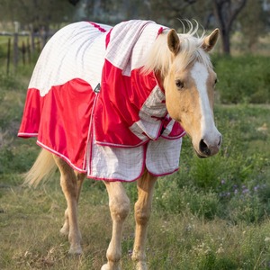 Manta Impermeable para Caballos con Cuello Desmontable, Cómoda para Invierno, Fabricada en Kanpur, India - Product Image 1