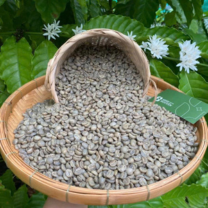 Café Vert Arabica Naturel de Haute Qualité, Origine Cau Dat Vietnam, 99% Cerises Mûres Cueillies à la Main, Sac de 60kg - Product Image 6