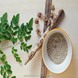 Meilleur Prix Moringa Fruits Poudre Agriculture Produit en Stock - Product Image 3