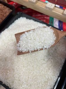 Arroz de Grano Medio VIETNAM 4% Quebrado / CALROSE / CAMOLINO Arroz de Grano Corto BLANCO Mejor Precio COMÚN Fresco Duro - Product Image 2