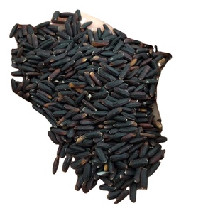 Riz noir Riz Arroz Rise Rise Riso biologique de haute qualité pour l'exportation du Vietnam/ANNA DO VILACONIC - Product Image 1