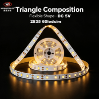 Lampu Strip LED Fleksibel DC5V 60LEDs/m SMD2835 Kecerahan Tinggi, Suhu Warna 3000K-6000K, Pencahayaan Lanskap Berbahan Tembaga.