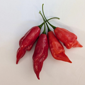 Especias y Condimentos Picantes, Pimienta Habanero, Chile Seco, Salsa de Chile Dulce - Product Image 5