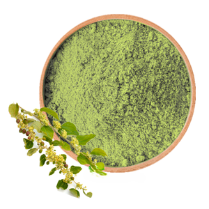 <b>Best</b> Quality 100% Authentic Qasil Leaf Powder Natural and Pure Cosmetic Grade Sidr Leaf Powder for Hair Frizz Control Support - Product Image 6