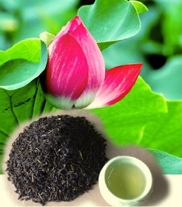 High Quality Lotus Tea – Dried Lotus Flower / Leaf Tea, Natural Herbal Drink, Competitive Price // Mr.Tom - Product Image 1