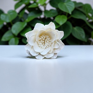 ดอกไม้ไม้โซล่า VADEE SOLA WOOD FLOWER ทำมือ งานฝีมือแบบยั่งยืน คลาสสิก ดอกคาเมลเลียอัลบา ขนาด 8.5 ซม. ก้านทำจากเส้นใยพืชเซสบานีอา - Product Image 1