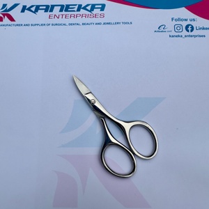 Kaneka Enterprises Expert Manicure Herramienta de cuidado de uñas de acero inoxidable Nuevo diseño ruso Calidad Premium Cutícula Uñas Belleza afilada - Product Image 2