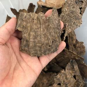 ไม้กฤษณาคุณภาพสูง เกรดดับเบิ้ล บัคฮูร์ ชิปส์ อูด ไม้หอมสำหรับจุดธูป งานฝีมือจากเวียดนาม กลิ่นหอมสดชื่น - Product Image 5