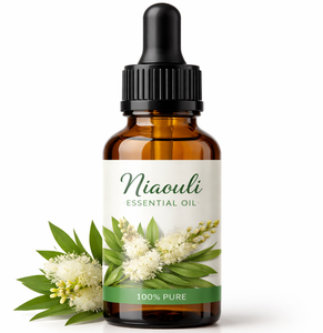 Aceite Esencial de Niaouli al por Mayor OEM de Alta Calidad, Aceite Natural Destilado al Vapor para Cosméticos, Aromaterapia y Fabricación de Jabón, Suministro a Granel - Product Image 1