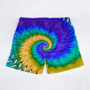 High Quality Custom Logo Summer Printed <b>Mesh</b> Gym Shorts Men Sports Swim Beach Polyester Sublimation Basketball <b>Mesh</b> Shorts - Product Image 2